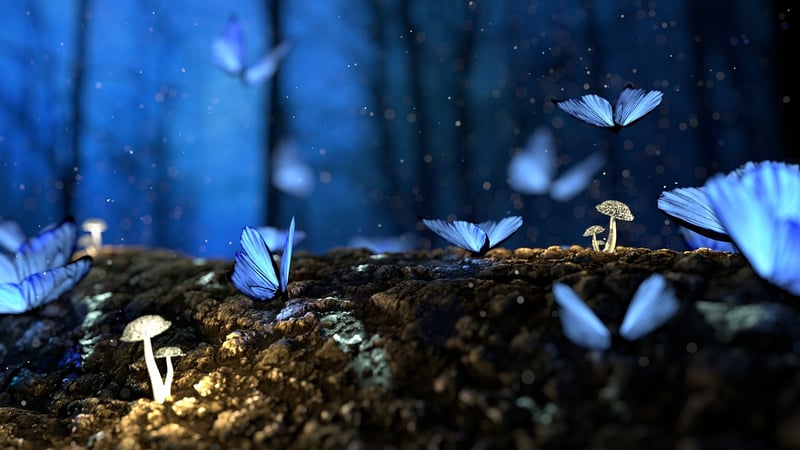 Enigmatic Forest